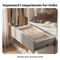 Compartmentalized Underwear Box sectional Drawer Organizer adaptable for Students