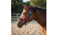 Padded Horse Halter Anti-Chafe Adjustable Horse Headcollar Braided Design Equine Head for Outdoor, Stable, Training