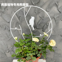 山乌龟盆景专用爬藤架子花支架月季铁线莲龟甲龙爬藤类植物花架子