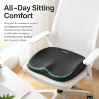 seat cushion set
