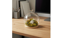 Preserved Flower Display Dome Modern Minimalist Design Preserved Flower Dome Miniature Landscape Debris-Resistant Cover Chic