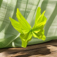 Summer Themed Green Ancient Style Photo Booth Decorations with Paper Butterflies and Lotus