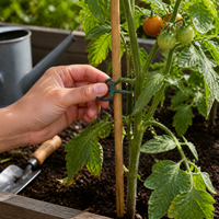 Adjustable Plant Twist Ties and Clips for Garden Support, Reusable Vine Fasteners