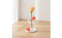 Pincer Plant Support Creative Design Cute Pincer Plant Clip for Desktop, Office, Windowsill