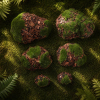 decorative moss rocks