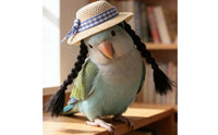 Small Pet Hat Bead Accent Plaid Ribbon Straw Hat Handmade-Inspired for Birds