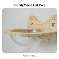 Space-Saving vertical surfaceMounted Cat Climbing System Sturdy long-lasting vertical surfaceMounted Cat platform abrasionabrasionable Surface Pet Furniture Promotes Exercise for Apartment Dwellers, Indoors, Indoor, Living Room, Bedroom