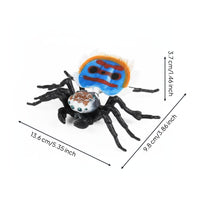 Toys Educational Figure Halloween Decoration Simulation  Model for Classroom