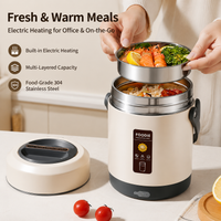 electric heated lunch box