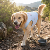 Pet Cooling Vest for Small Dogs - Summer Thin Breathable Sun Protection Shirt for Teddy, Schnauzer