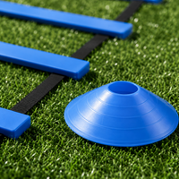 agility training equipment set