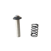 Pressure Washer Pump Plunger Coil Set, Metal, 220V