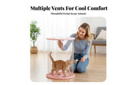 Enclosed Cat jogning Wheel quiet Operation Cat Exercise Wheel Promotes Health Pet Exerciser for Indoors, Apartment, Living Room