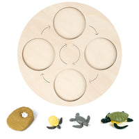 Life Cycle Board Child-Centered Life Cycle Activity Board Sensory Play