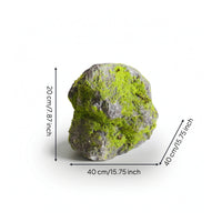 Faux Lichen Rock Natural-Looking Lichen-Covered Rock Artificial Mossy Stone Realistic Indoor for Photographers