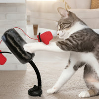 Interactive Cat Boxing Toy Padded Spring Cat Toy for Apartments