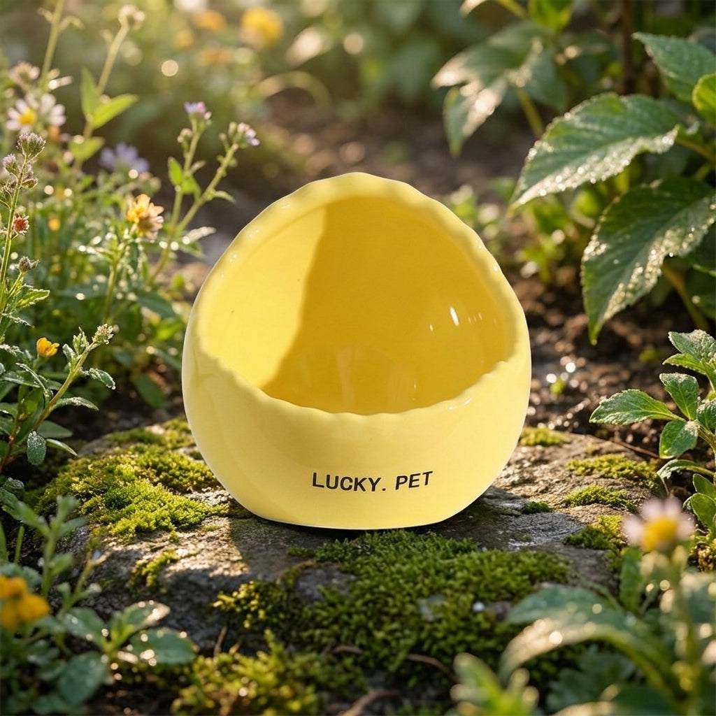 Ceramic Bird Feeder and Waterer, Small Eggshell Bird Feeder with Freestanding Design, Eggshell Water Bowl for Indoor Cage or Outdoor Use