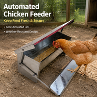 poultry feeder