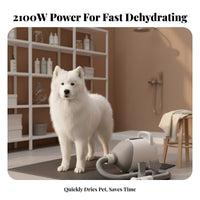 Adjustable Speed and Temperature High Velocity Dog Dryer Low Noise Operation Dog Grooming Blower Fast Drying High Velocity Pet Dryer Quick Dry for Large Dogs, Cats, Professional Groomers, Home Use