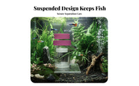Guppy Breeder Enclosure Prevents Cannibalism Buoyant Aquatic Creature Breeder Box Buoyant Aquatic Creature Hatchery Good Water
