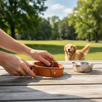 Dog Positioning Device Leather Dog Heavy Duty Buckle for Outdoor, Walking, Travel