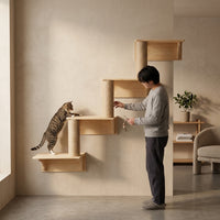 Cat Shelf and Wall Furniture Activity Center, Solid Wood Wall Mounted Shelves for Large Cats, Indoor Climbing Playground and Space Saving Set