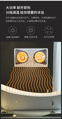110V灯暖浴霸传统壁挂式卫生间取暖灯浴室两灯暖风机出口小家电