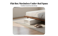 Rolling Under-Bed Box Wheeled Design Underbed Bin complimentary for Students, Parents