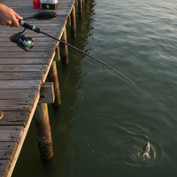 Lure Fishing Rod Ultralight Soft Action for Horse Mackerel and Whitefish
