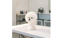 Pet Grooming Practice Head Dog Grooming Mannequin with Hair Smooth