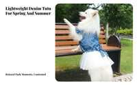 Season Summer Wear Denim Dog Tutu Accent Star Pattern Dog Dress With Knot for Photo Shoots, Birthdays, Outdoor Walks