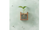 Retro Design Tabletop Glass Planter Wooden Stand Creative Gift Glass Bulb Planter Easy Water Change House Decoration for Bedroom
