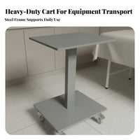 Mobile Cosmetic Trolley With Wheels Salon Rolling Cart Salon Tray Cart Braking Casters Mobile Instrument Table Sturdy And