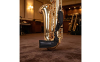 Saxophone Neck Strap with Metal Hook Saxophone Neck Strap Simple Adjustment for Saxophonists, Music Practice