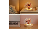 Night Light with Dome Cover Warm LED Glowing Miniature Landscape Decorative Tree Light Ambient Lamp Safe for Bedside Table, Desk