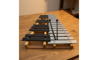 25 Note Xylophone Classroom-Friendly Xylophone with Carry Case Glockenspiel with Carrying Bag for Kids, Beginners
