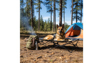 Foldable Elevated Dog Bed Moisture-Proof Elevated Dog Cot No Assembly Required Folding Pet Bed Easy to Clean for Large Dogs, Travel, Camping, Outdoor