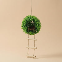 Hanging Bird Hideout Natural Wood Pet Accessory Green