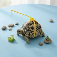 Turtle Harness and Leash Hanging Tether Turtle Walking Leash Yellow Reptile Walking Harness for Exercise