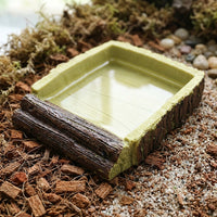 Anti-Slip Reptile Bath and Tortoise Bathing Pool, Shallow Reptile Bath for Reptiles, Snakes and Geckos, Sturdy Resin Soaking Basin Dish