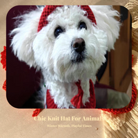 Pet Hat, Animal Costume, Adjustable for Event, Small Animal