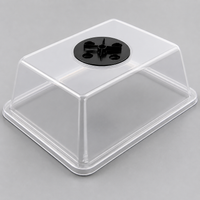 Seedling Raising Tray, With Lid, Set of 3, Plastic, With Transparent Humidity Dome, For Home Gardening, For Beginner Gardeners