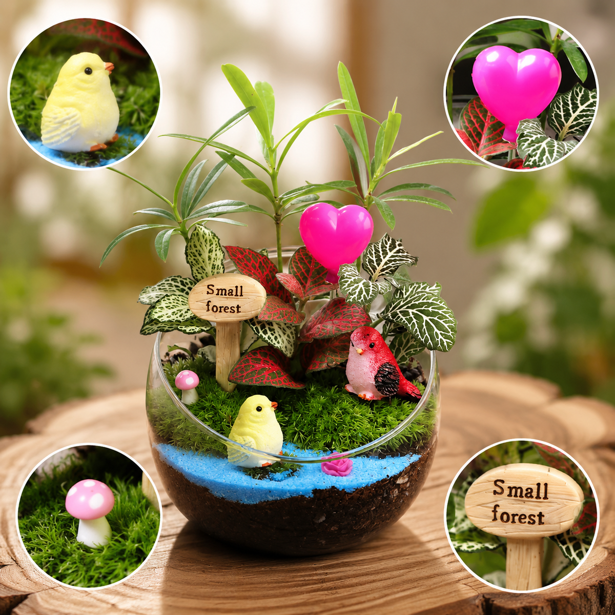 10cm Desktop Moss Mini Landscape Small Potted Live Plant Kindergarten Cut Eco Bottle DIY Kit