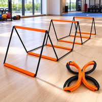 agility ladder
