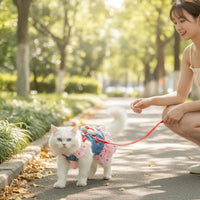 Dog Harness Dress with Leash Strawberry Cat Harness Dress with Leash Ruffled Cute for Small Dogs, Outdoor Walking, Daily Walks