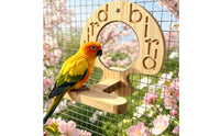 Natural Wood Parakeet Mirror Stand Engraved Cutouts Bird Perch Mirror Smooth Finish Wooden Bird Perch Rounded Top