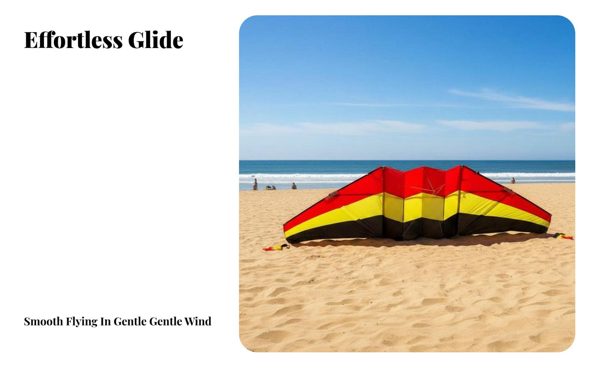 Airborne Kite Light Wind Single Line Parafoil Kite Easy to Fly Outdoor Toy for Adults, Teens, Beach, Park, Open Fields