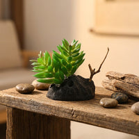 Stable Freestanding Plants and Reptile Foliage, Bearded Lizard Tank Accessories, Insect Vivarium Decor for Desert and Tropical Enclosures