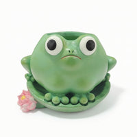 Plant Planter Cute Frog Planter Whimsical for Gardeners