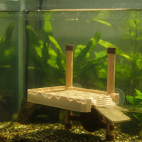 Floating Platform with Ramp Low-Height for Reptile Owners